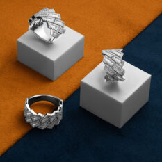 Stacked from 61 images. Method=B (R=8,S=4)