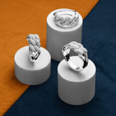 Stacked from 73 images. Method=B (R=8,S=4)